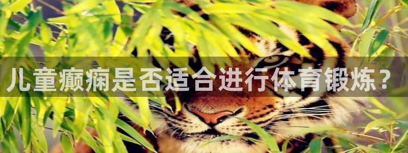 321体育直播入口