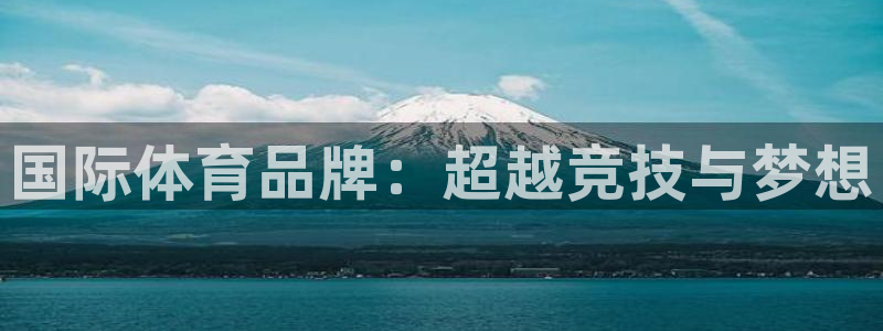 321体育看球